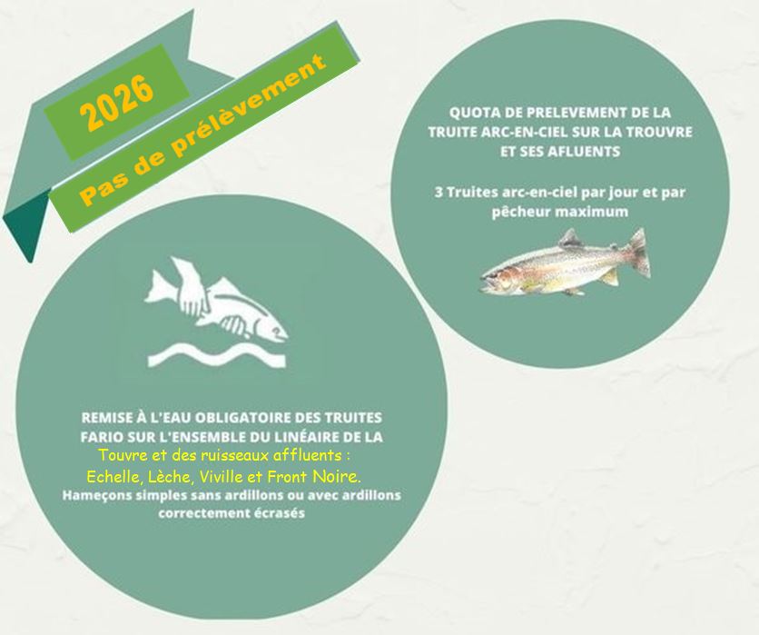 Remise à l'eau des truites fario sur la Touvre et le Viville obligatoire pour la saison halieutique 2026